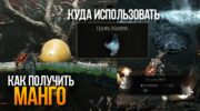 Mortal Shell 2: как найти Плоть Матери и секретное Манго