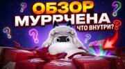Муррчены в Arknights: Endfield — стоит ли крутить баннер