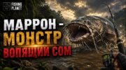 Вопящий сом на Маррон в Fishing Planet: снасти и приманка