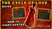 The Blood of Dawnwalker: гайд по квесту Цикл любви — фонари и лозы