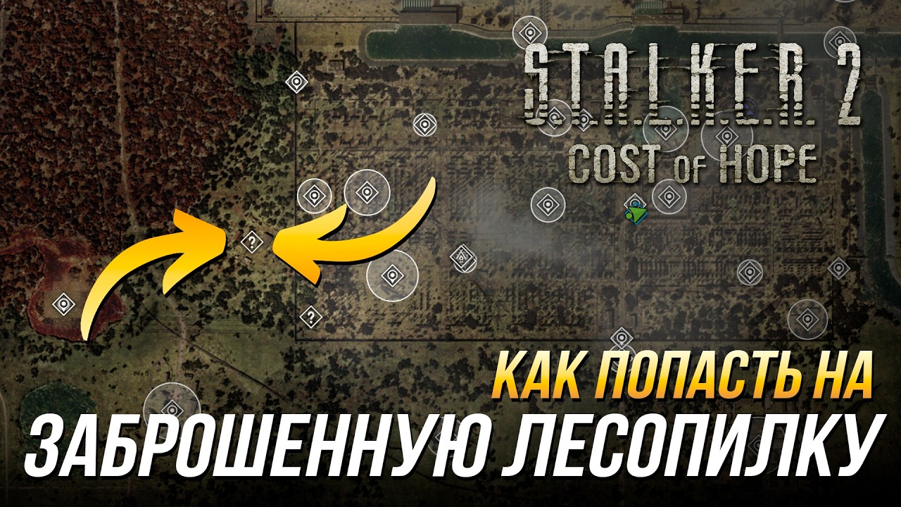 Заброшенная лесопилка S.T.A.L.K.E.R. 2: путь и ключевые выборы