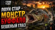 Fishing Planet: Буффало Бешеный Глаз — снасти и тактика ловли